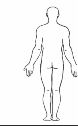 sc-5 sb-2-Anatomical Positions-Body Planesimg_no 112.jpg